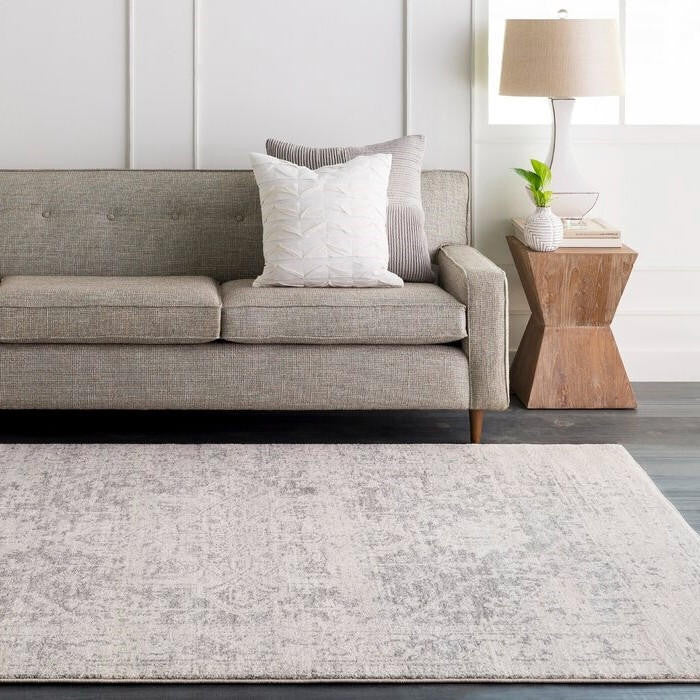FastFurnishings 5' x 7' Distressed Oriental Area Rug in Light Grey / Beige