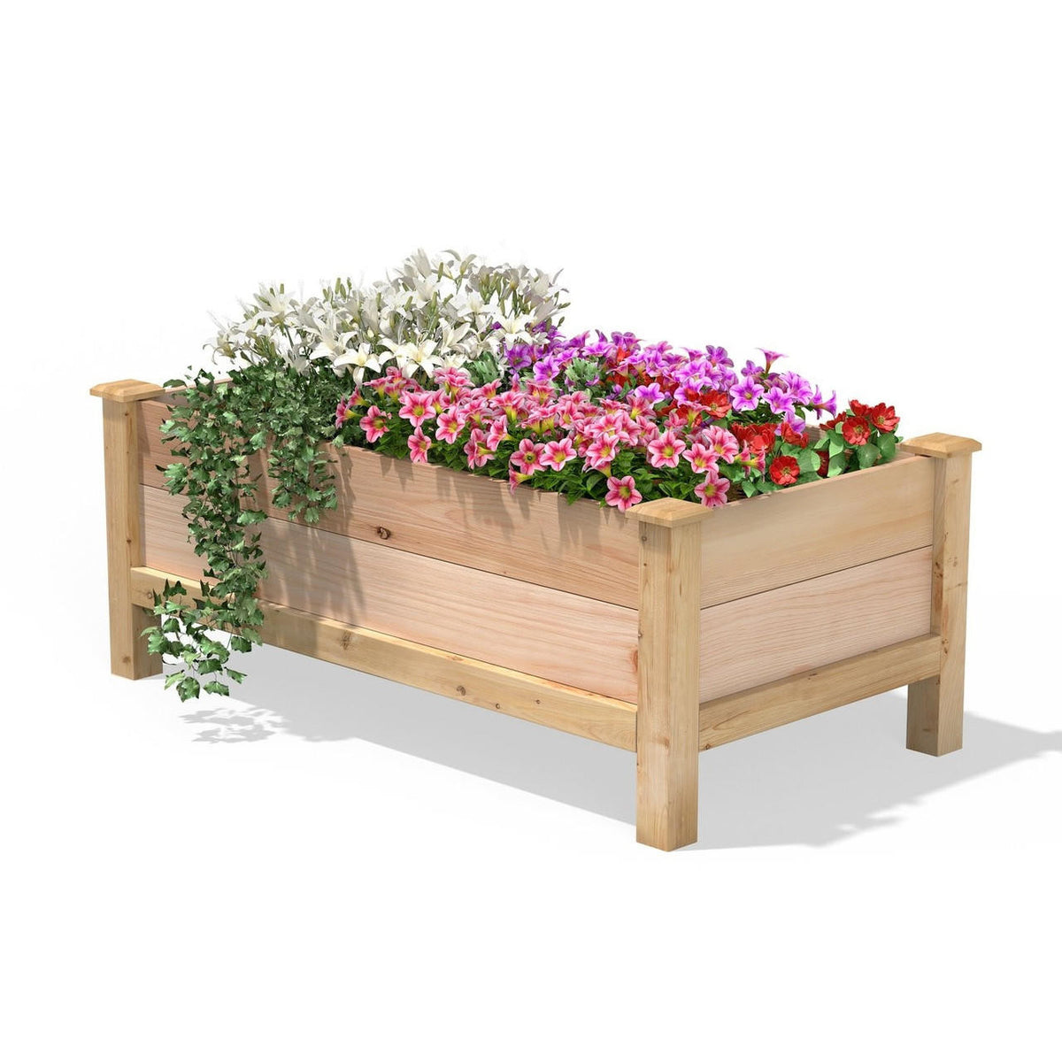 FastFurnishings Farmhouse 24-in x 48-in x 19-in Cedar Elevated Victory Garden Bed - Made in USA