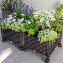 FastFurnishings Modern 2-Piece Indoor Outdoor Raised Garden Planter Box on Wheels in PP Rattan