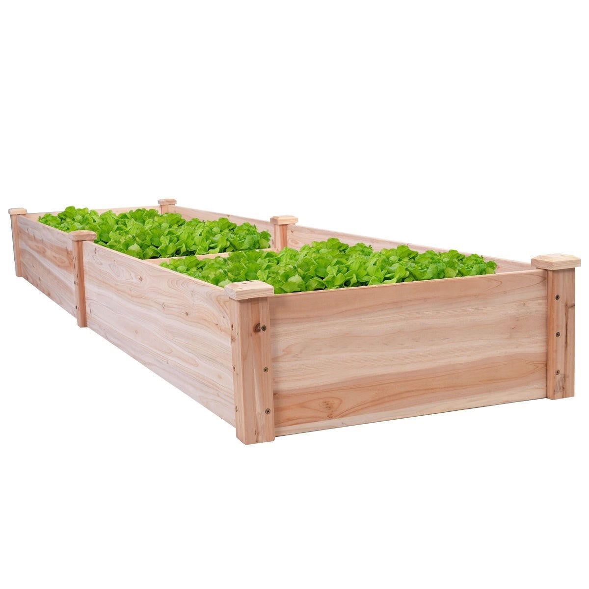 FastFurnishings Solid Cedar Wood 8 ft x 2 ft Raised Garden Bed Planter