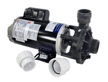 Gecko Alliance FLO-MASTER PUMP 2HP 2SP 230V FMHP Model 02120000-1010