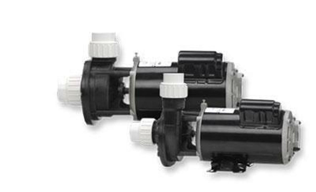 Gecko Alliance FloMaster FMCP 1.5 HP 2 Speed Center Discharge Spa Pump 02615000-1010