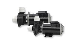 Gecko Alliance FloMaster XP2 1.5 HP 2 Speed 230 Volt Spa Pump