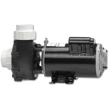 Gecko Alliance FloMaster XP2 115 Volt 1.5 HP 2 Speed Spa Pump