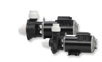 Gecko Alliance FloMaster XP2 2 HP 2 Speed 230 Volt Spa Pump