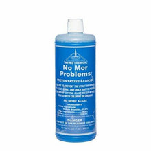 Pentair No Mor Problems Algaecide 1 Gallon