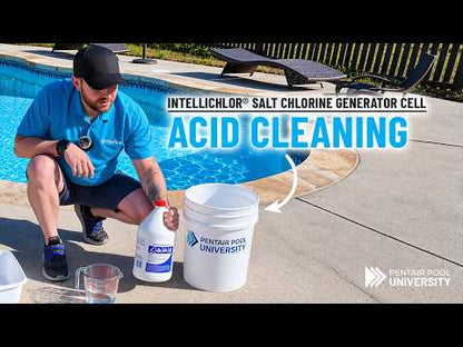 Pentair manufacturer IntelliChlor salt-cell acid-cleaning instructions