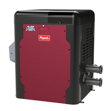 Raypak Avia 399K Btu Pool and Spa Heater