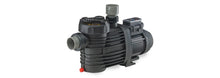 SPECK Speck Model ES90-II VSP Inground Variable Speed Pump