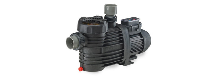 SPECK Speck Model ES90-II VSP Inground Variable Speed Pump