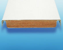 SR Smith SR Smith Frontier III Diving Board
