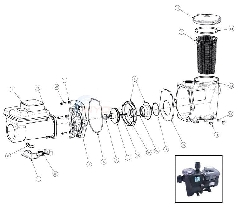 Waterway Econo-Flo VSA 2.7 HP pump exploded assembly