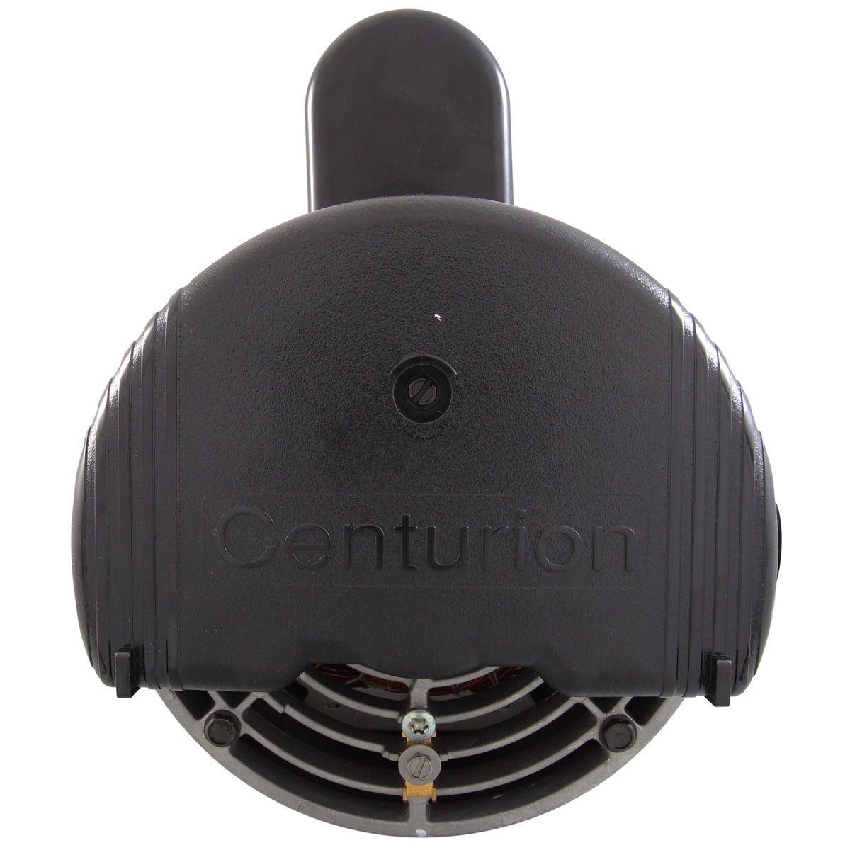 Century B2855 pool pump motor rear end and grounding terminal view