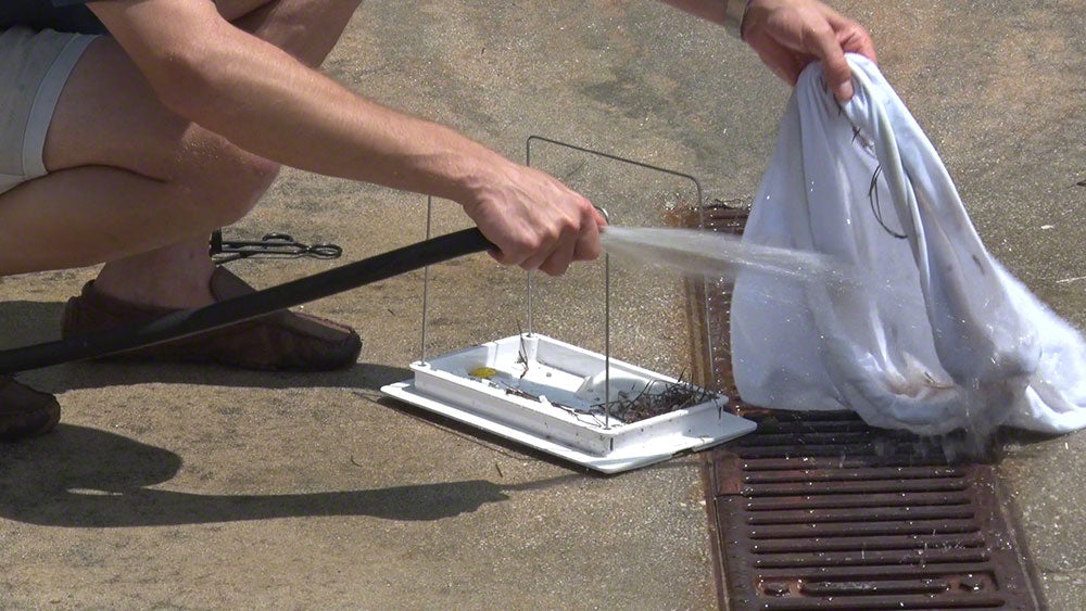 Dolphin Wave 100 filter bag removal and rinsing demonstration