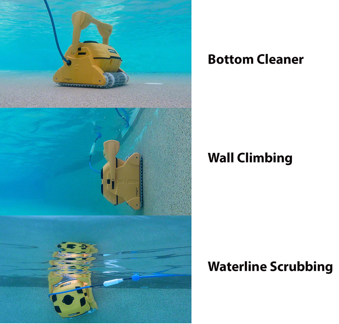 Dolphin Wave 100 floor, wall and waterline cleaning illustration