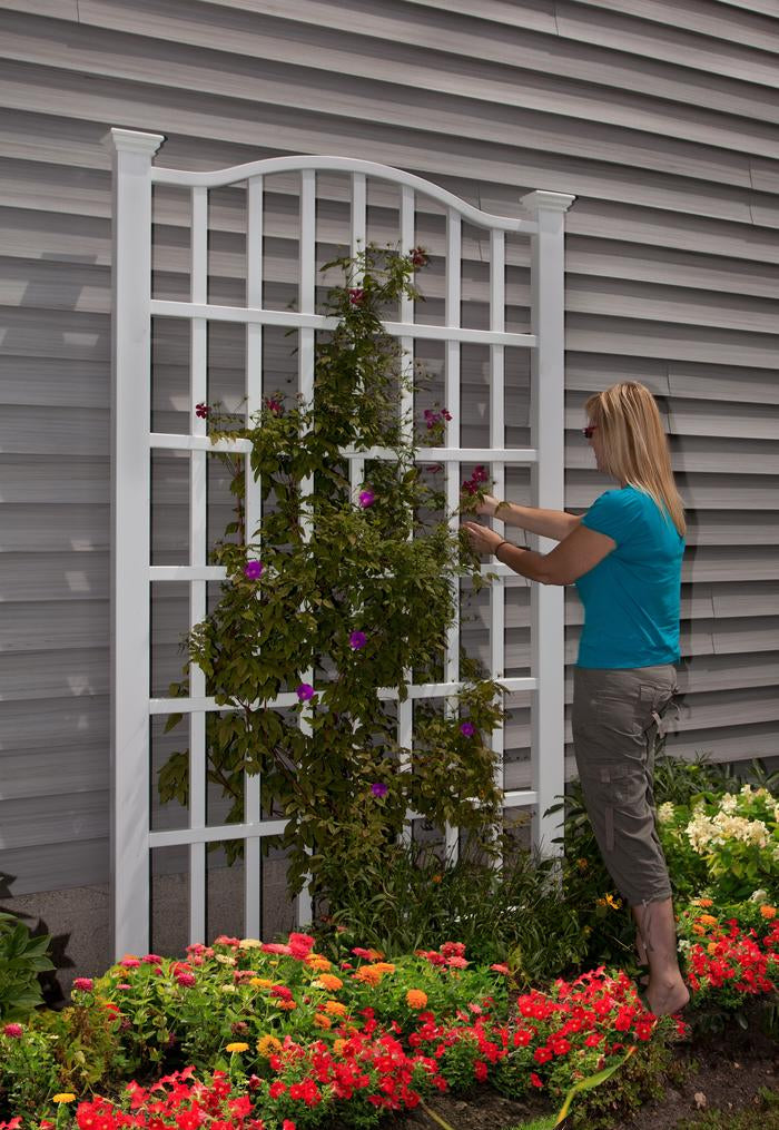 Vita Grande trellis supporting climbing flowers